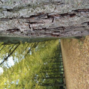 Luke – Podcast Oktober 2013