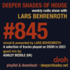 #845 Deeper Shades of House